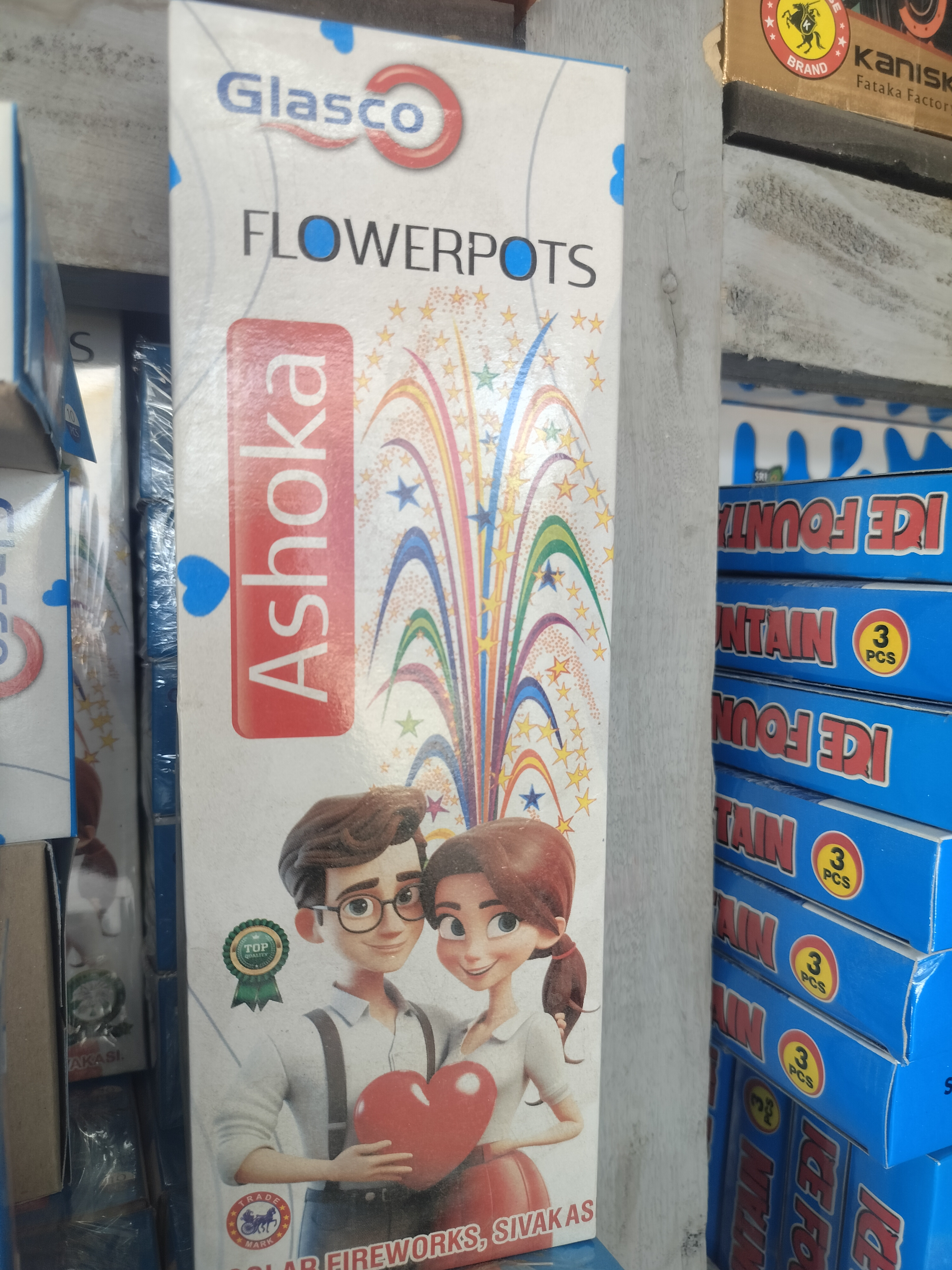 Flower Pots Asoka (10 Pcs)